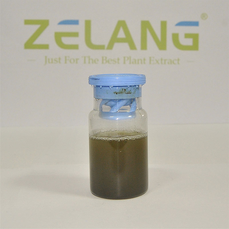 Wholesale Bulk Chlorella Powder Broken Cell Wall Chlorella