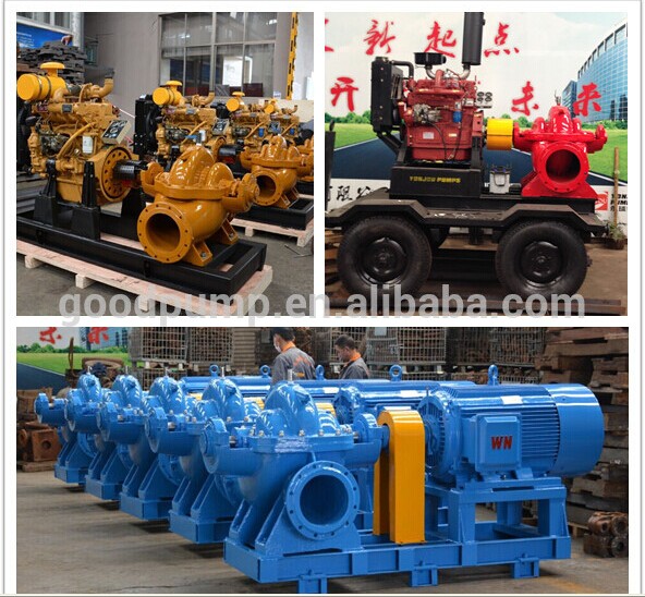 S/Sh Series Double Suction Centrifugal Water Pump for Irrigation Firefighting Use