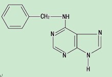 Plant Growth Regulator 6-Ba 6-Bap 98%Tc