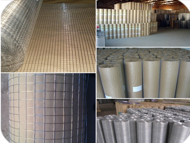 Welded Wire Mesh Galvanized Anping Facotry Supply