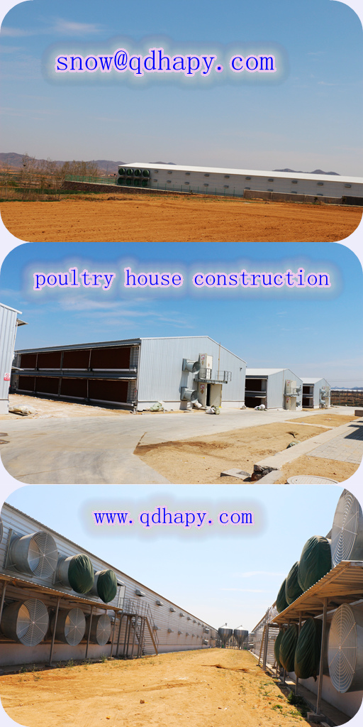 Steel Construction in Poultry House with Free Design and Efficient Installation