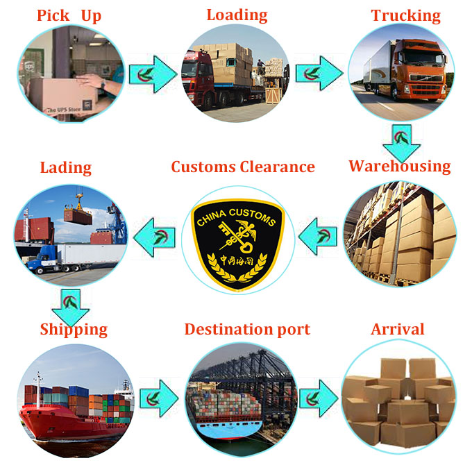 Sea Transport Track and Trace Container Shipping From China to England