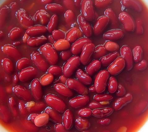 425g Canned Red Kidney Bean with Best Quality