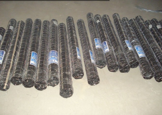 Hexagonal Wire Netting for Farm Fence/Chicken Wire /Rabbit Wire Mesh