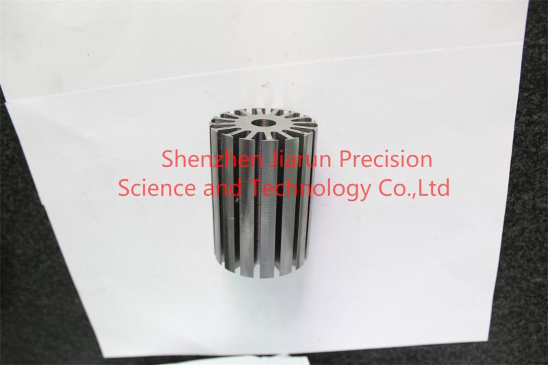 Loose Sheet Rotor Stator Core for Pumps