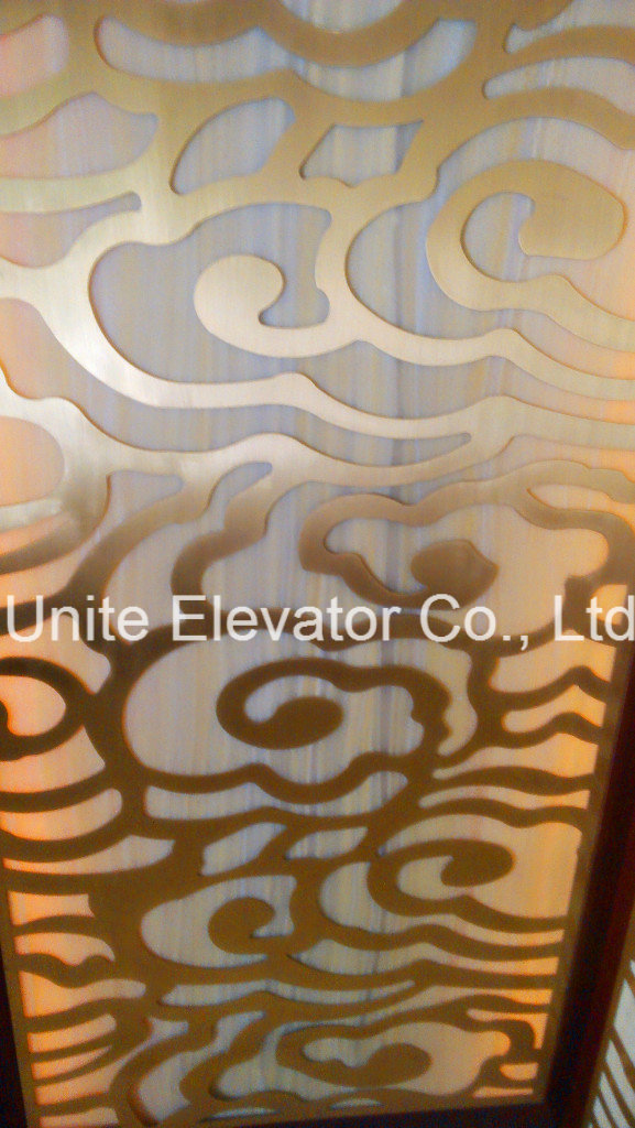 8 Person Cheap Passenger Elevator Lift Price, Food Elevator, Used Elevator