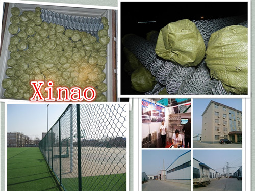 Plastic Coated Chain Link Fence/PVC Coated Fence