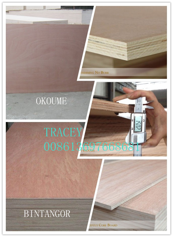 Bintangor/Okoume/Red Pencil Ceder Commercial Plywood for Furniture or Decoration