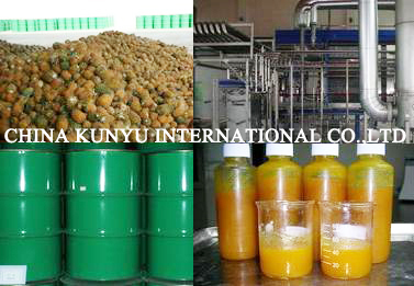 Pineapple Juice Concentrate with High Quality