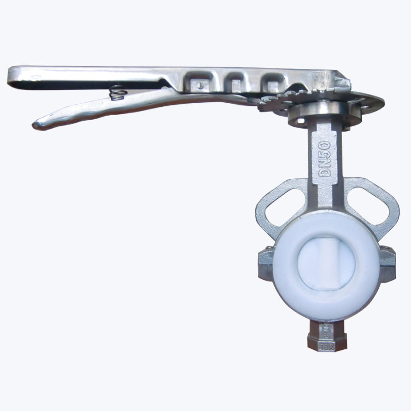 Bray Similar Stainless Steel Butterfly Valve (D37T1X-10/16)