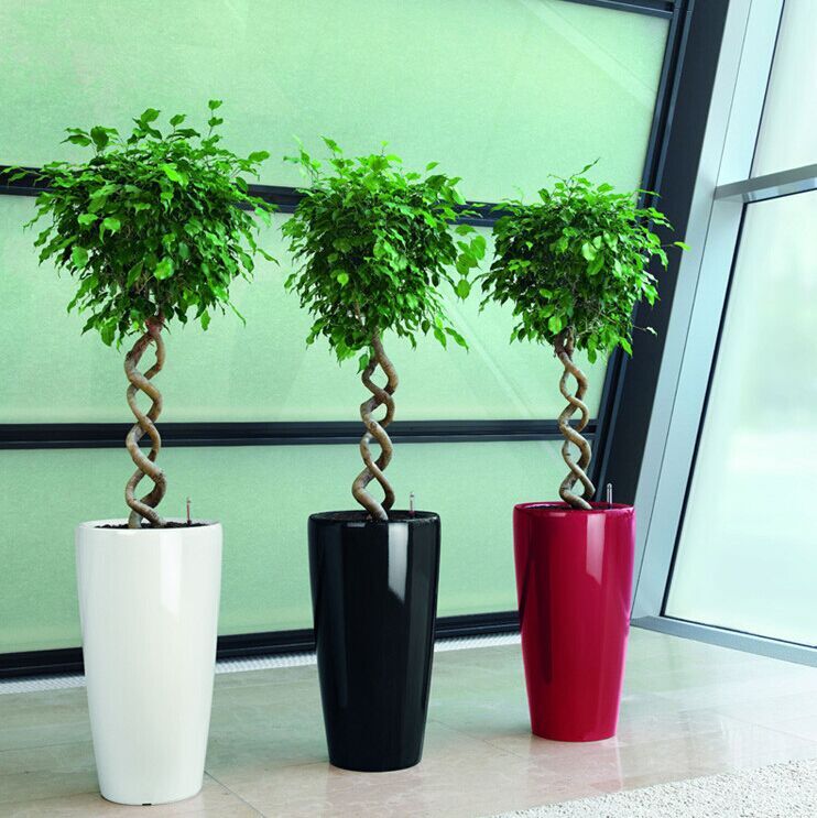 (BC-F1023) Plastic Decoration Fashionable Self-Watering Flower Pot