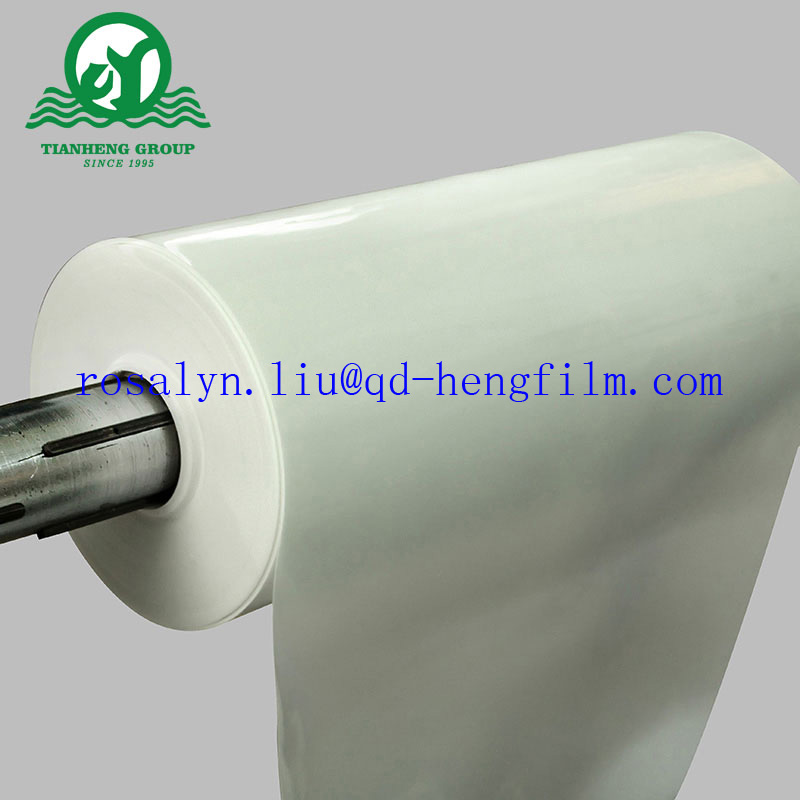 Thermoforming PP Film Rigid for Clamshell Packaging