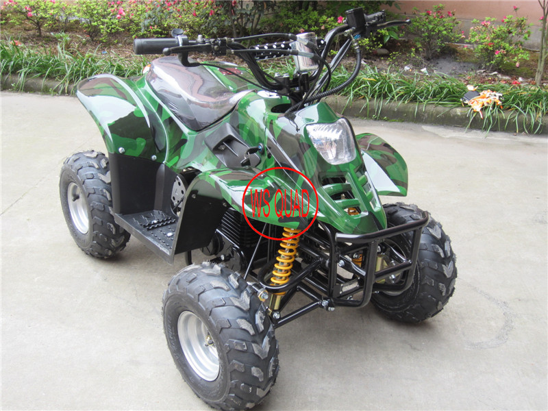 800W Electric ATV, 36V 17ah Battery with CE Approval Et-Eatv003 Electric Atvs