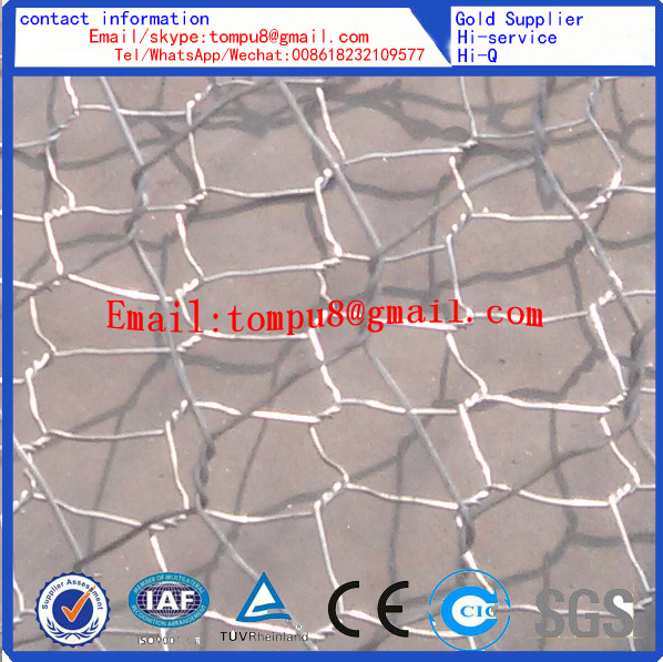 Welded Wire Gabion Mesh and Hexagonal Gabion Mesh /Hot Sale