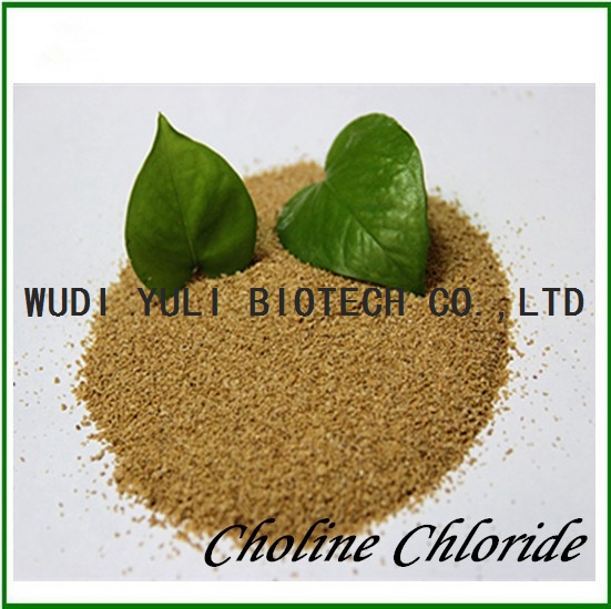 Choline Chloride 50%/60%/70% Feed Grade