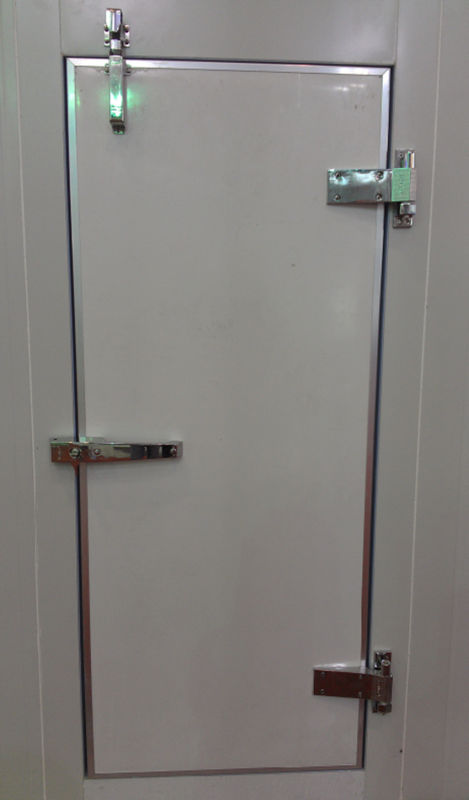 Full Sunk Hinge Door for Walk in Freezer