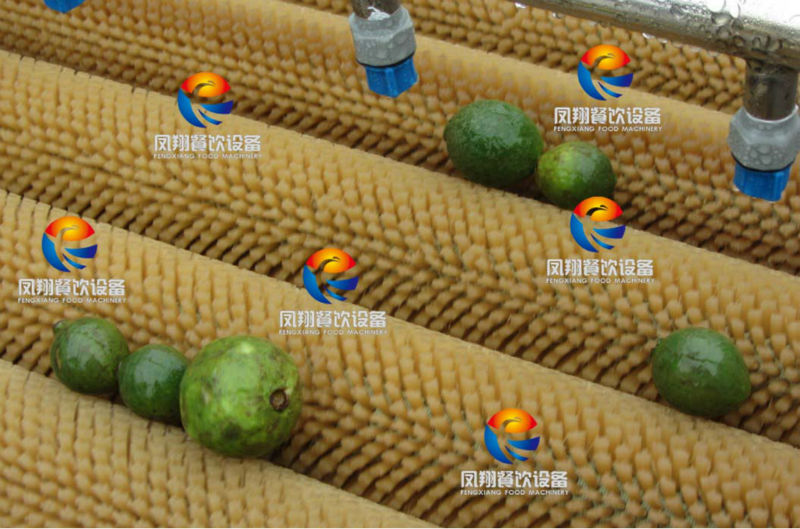 Spray Washing Machine, Melon/Fruit Washing Machine