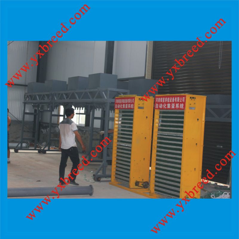 Professional Design Layer Chicken Cages Manufacturer