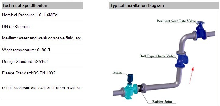 Epoxy Coating Ductile Iron Ball Check Valve