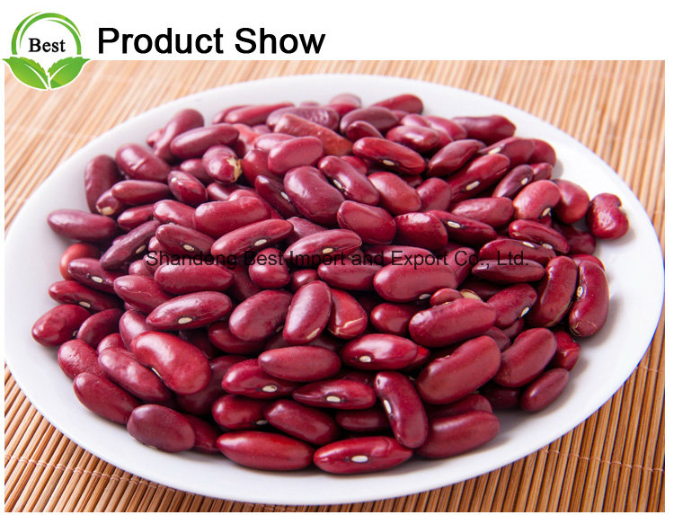 Dried Dark Red Kidney Beans