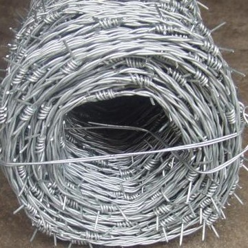 Galvanized Barbed Wire with Ce