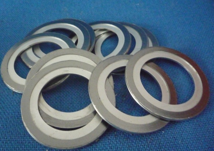 Stainless Steel 304L Kammprofile Gaskets with Outer Ring