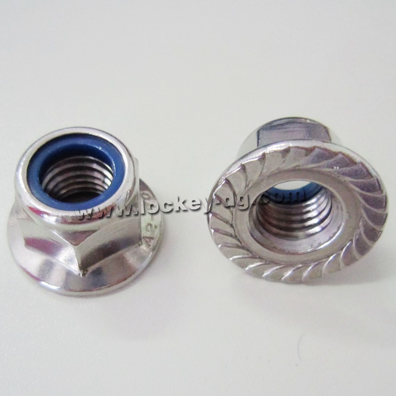 Stainless Steel 304 Nylon Nut