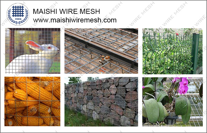 Welded Wire Mesh Rolls