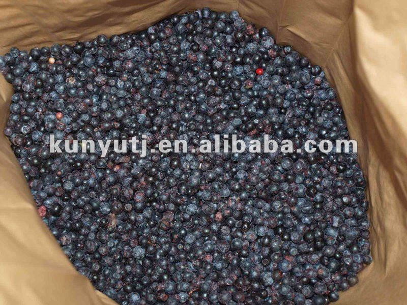 Frozen Blueberry with High Quality