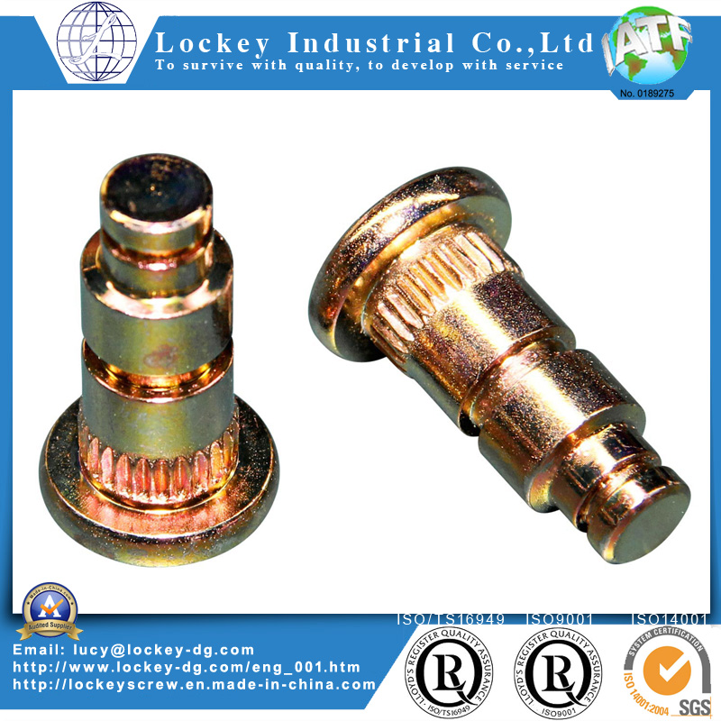 Zinc Plated Special Bolt with Knurl