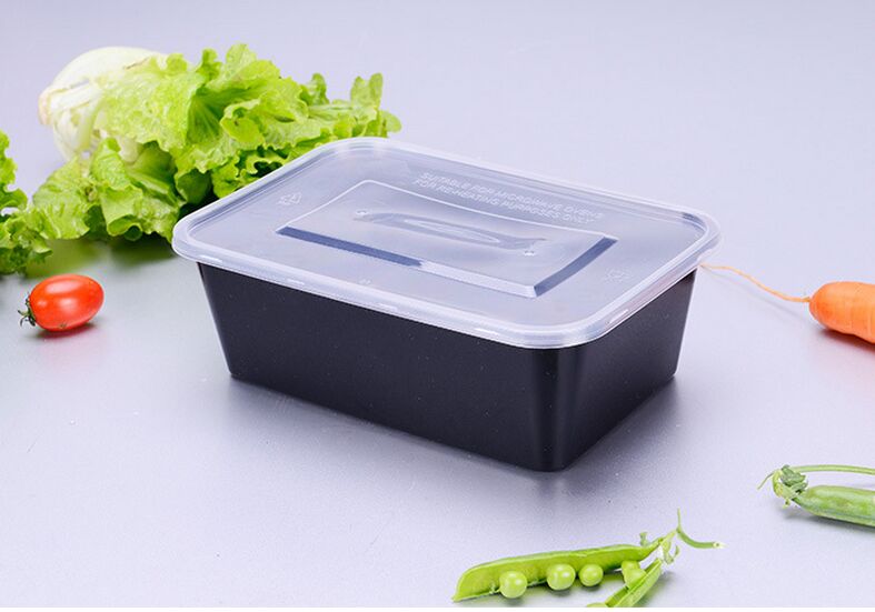 Customized Rectangular 2-Compartment Plastic Microwave Food Container