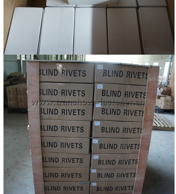 Aluminium Steel Blind Rivet