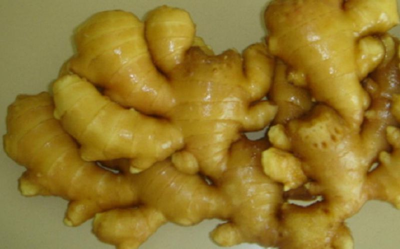 2015 New Crop Chinese Fresh Ginger Vegetables