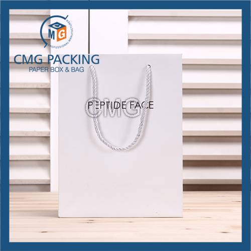 Rivet Handle Paper Bag with Plastic Handle (CMG-MAY-042)