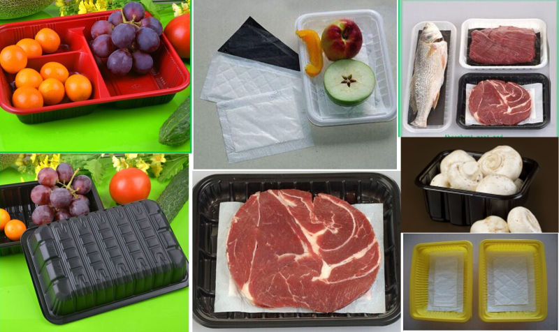 100% Food Grade PP Matt Surface 41.9X33cm 10lb Canada Importing Plastic Blister Black Tomato Packaging Tray