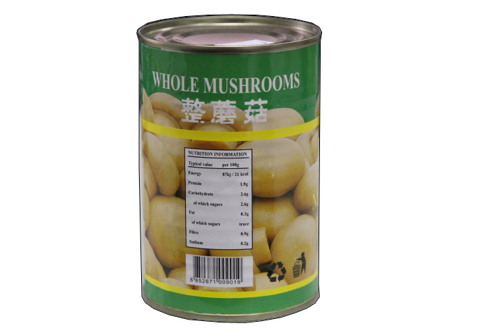 Canned Mushroom in Can with High Quality