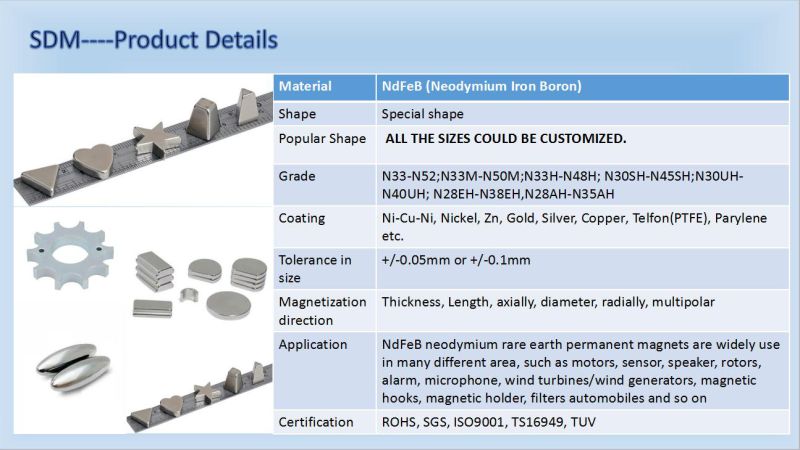 Permanent Powerful Special Shaped Neodymium Magnet