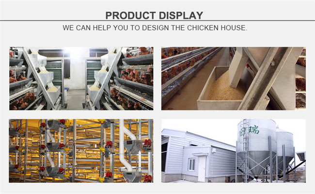 Qingdao Factory Chicken Farm Poultry Chain Feeding System for Layer
