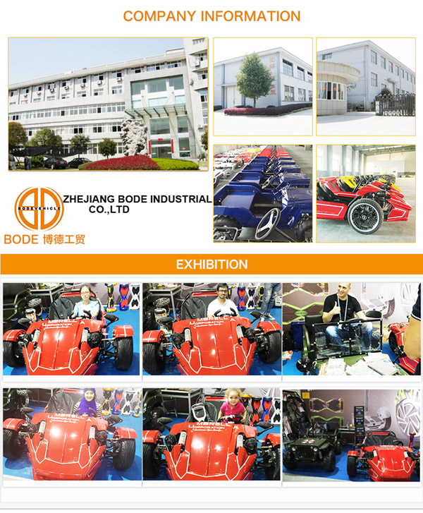 200cc or 270cc Lifan Engine Adult Racing Go Kart