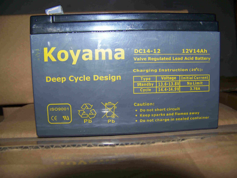 12V14ah Deep Cycle AGM Battery for Utility Vehicle