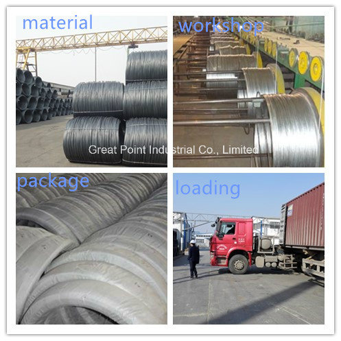 Spring Steel Wire Hot Dipped Galavanized