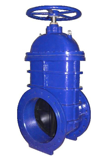 DIN Standard Cast Iron Gate Valve (Z41F)