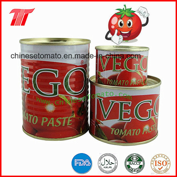 400g Organic Canned Tomato Paste of Vego Brand