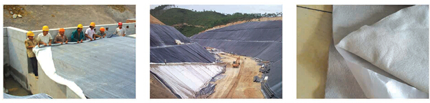 Compound Geomembrane Geocomposite Geomembrane Waterproof