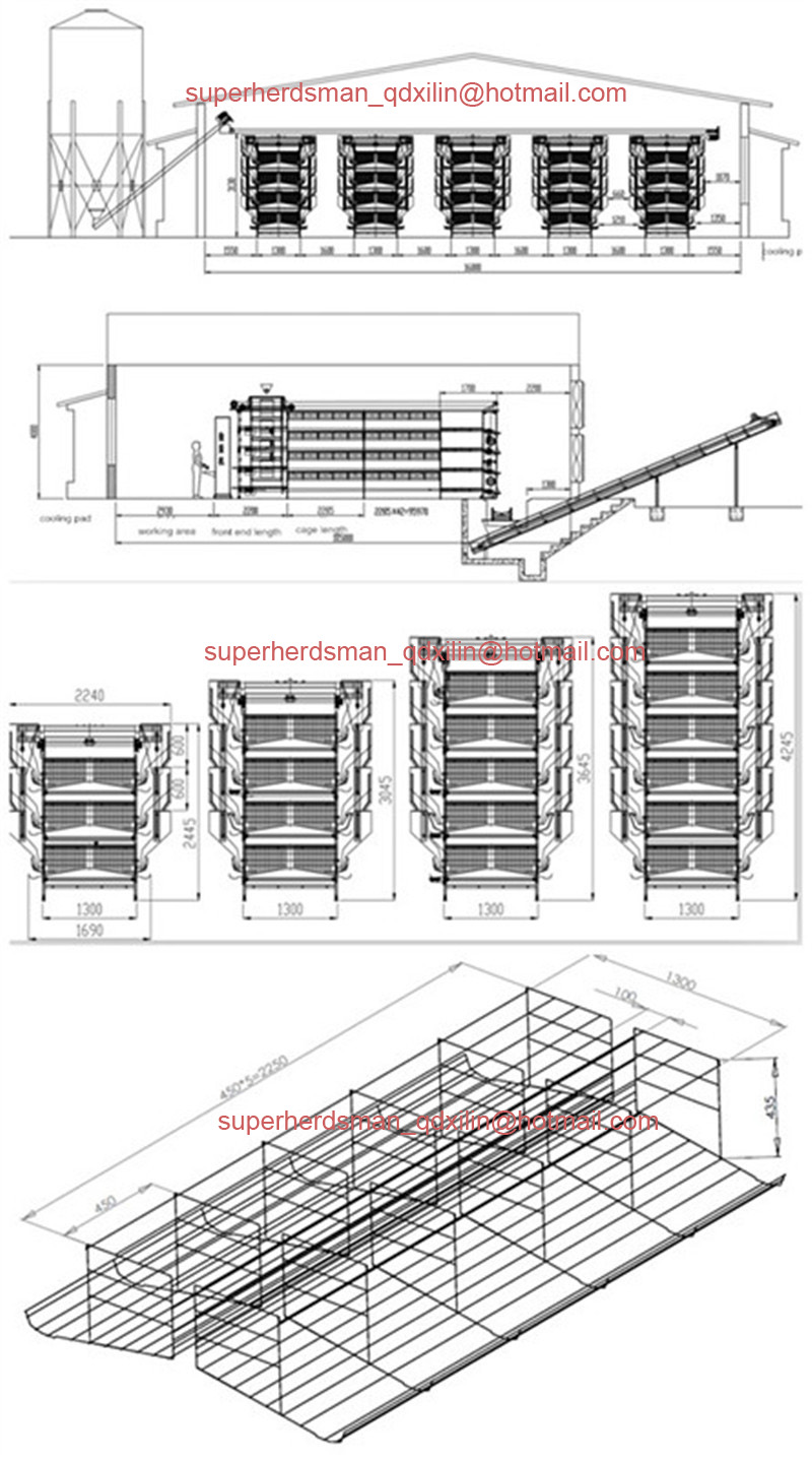 H Type Chicken Cage Poultry Equipments