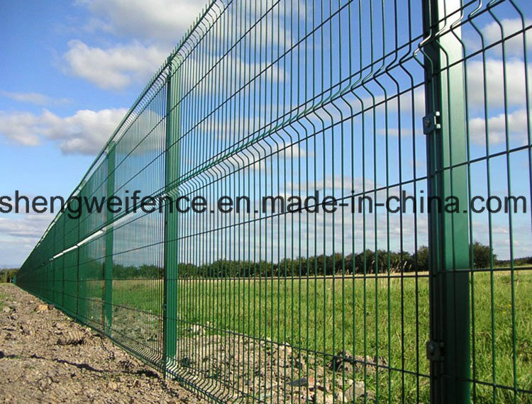 PVC Coated Welded Wire Mesh Fence Panel for Sale