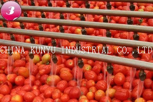 Hot Break Tomato Paste with High Quality