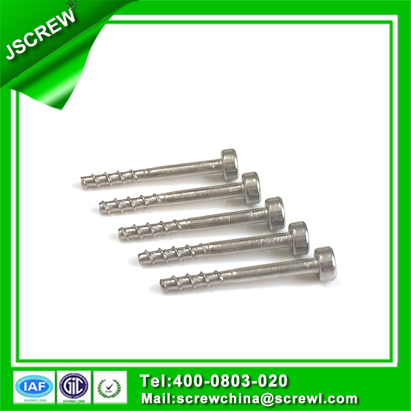 18-8 Stainless Steel Torx Socket Head Cap Screw