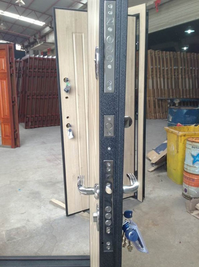 2017 New Design & Craft PVC Steel Door with Good Lock