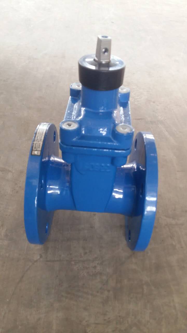 Resilient Seated Gate Valve with Hand Wheel